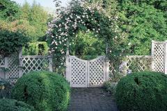 Stylish-Climbing-Rose-Trellis