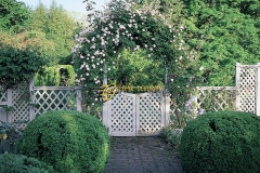 Stylish-Climbing-Rose-Trellis